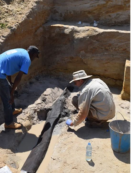 '圖2～4：考古學家在尚比亞卡蘭博瀑布發現一處約47.6萬年前的古代木質結構建築。（網路圖片）'
