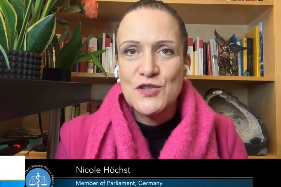 '图2:德国国会议员霍赫斯特表示,需要讨论一个触及我们文明根基的问题。'