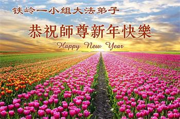  Đệ tử Đại Pháp tại 30 tỉnh của Trung Quốc Đại lục kính chúc Sư tôn năm mới vui vẻ!