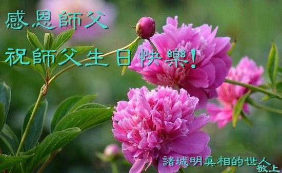 图5:山东省明真相村民贺卡